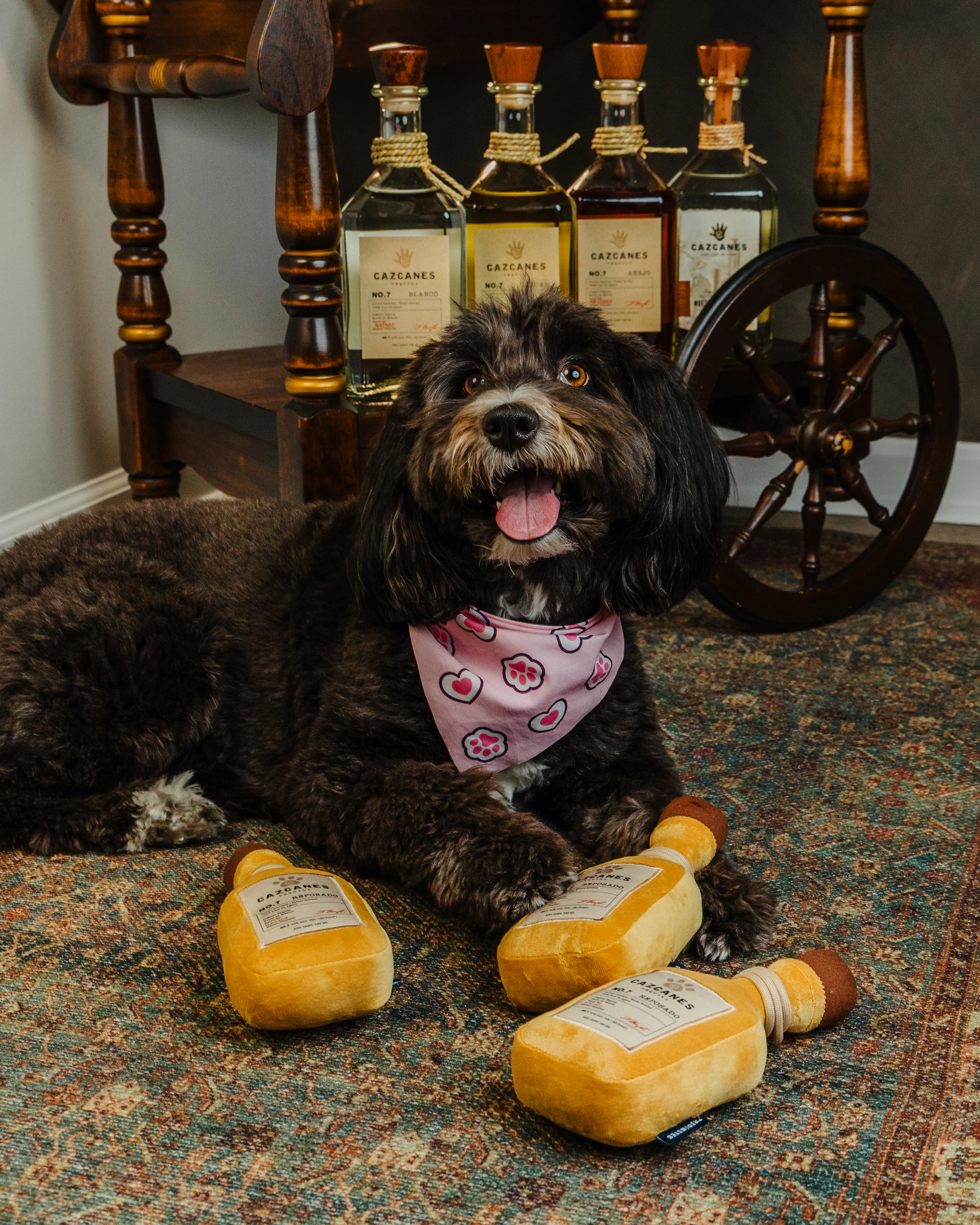 Cazcanes Dog Toy - Image 3