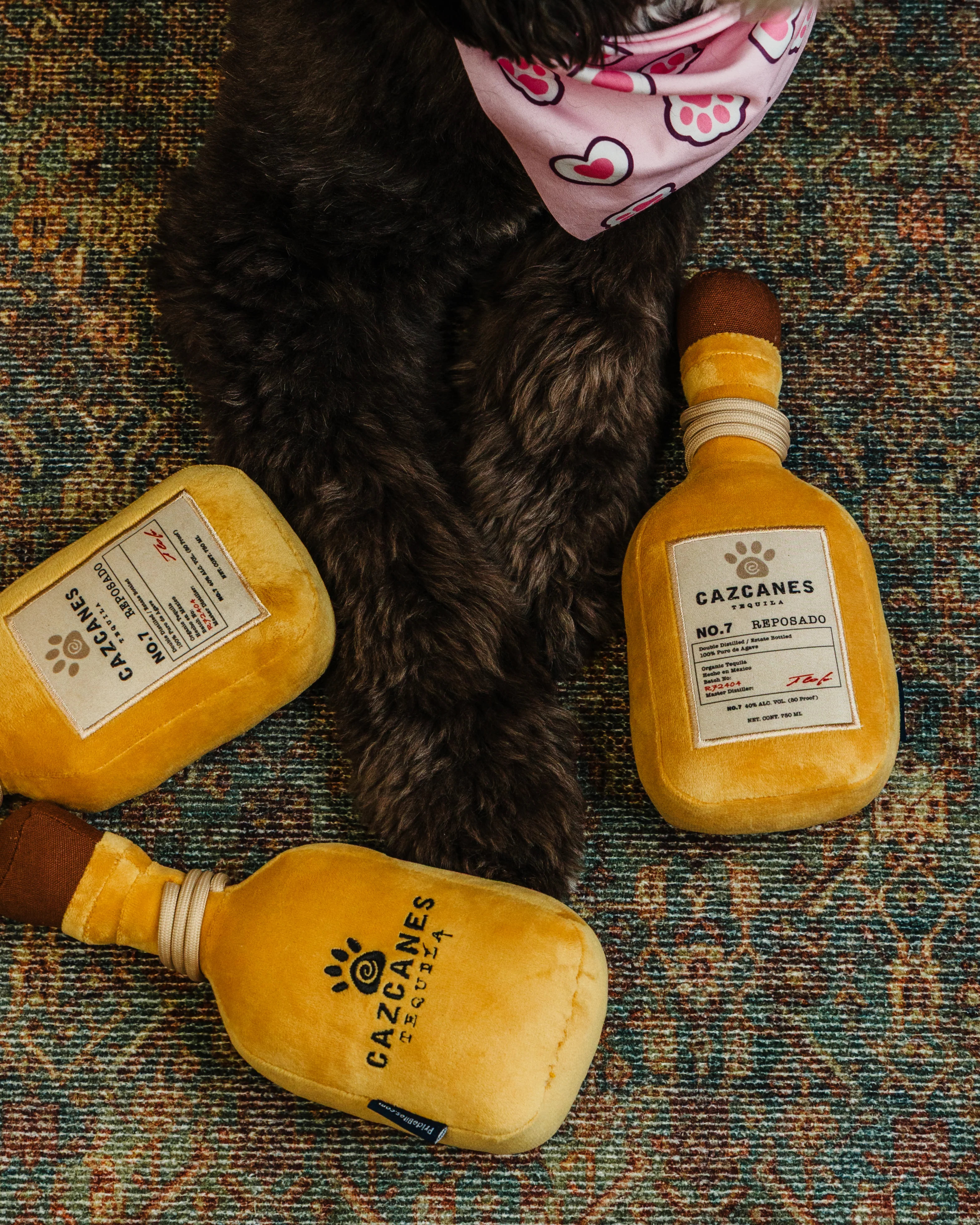 Cazcanes Dog Toy - Image 4