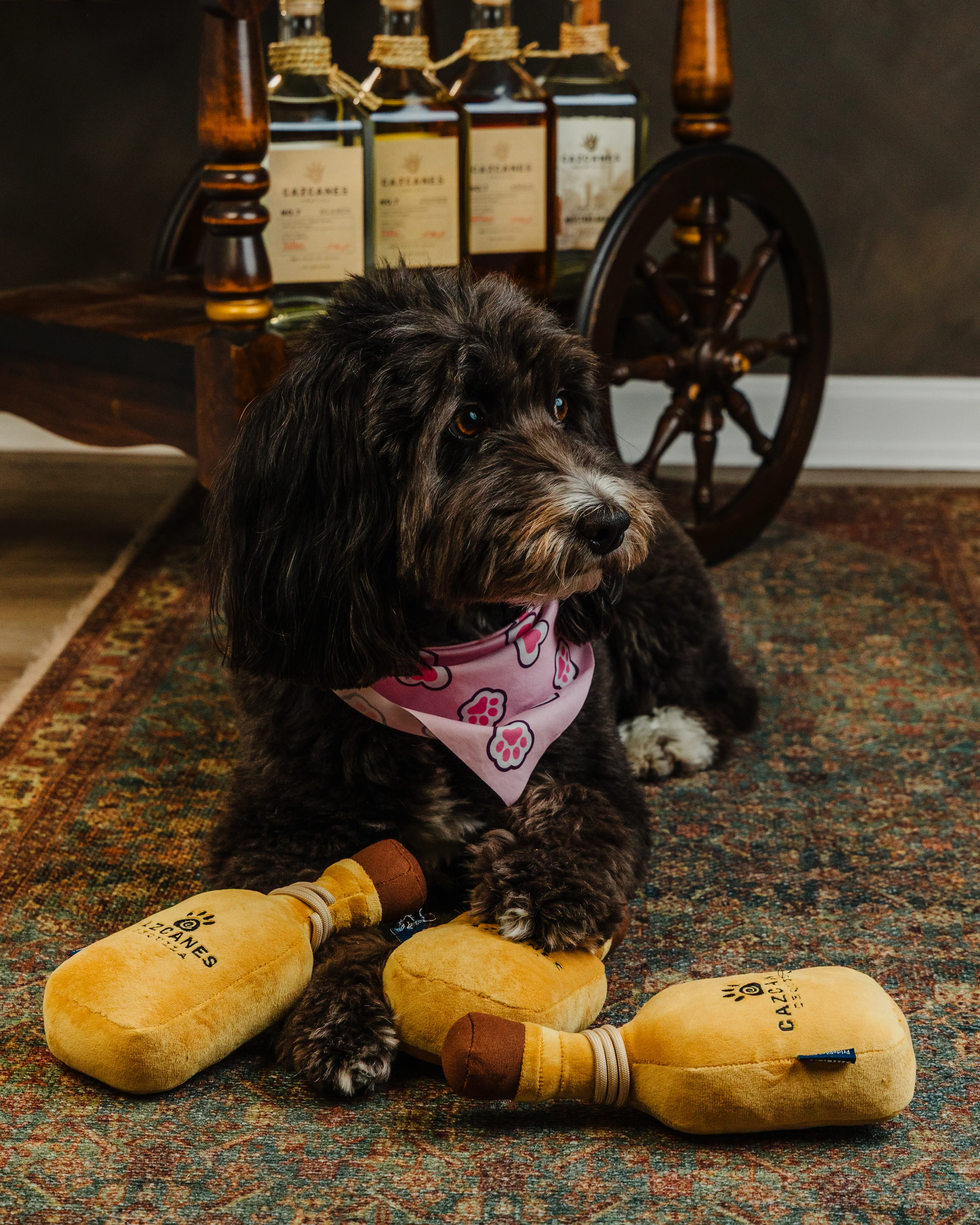 Cazcanes Dog Toy - Image 5