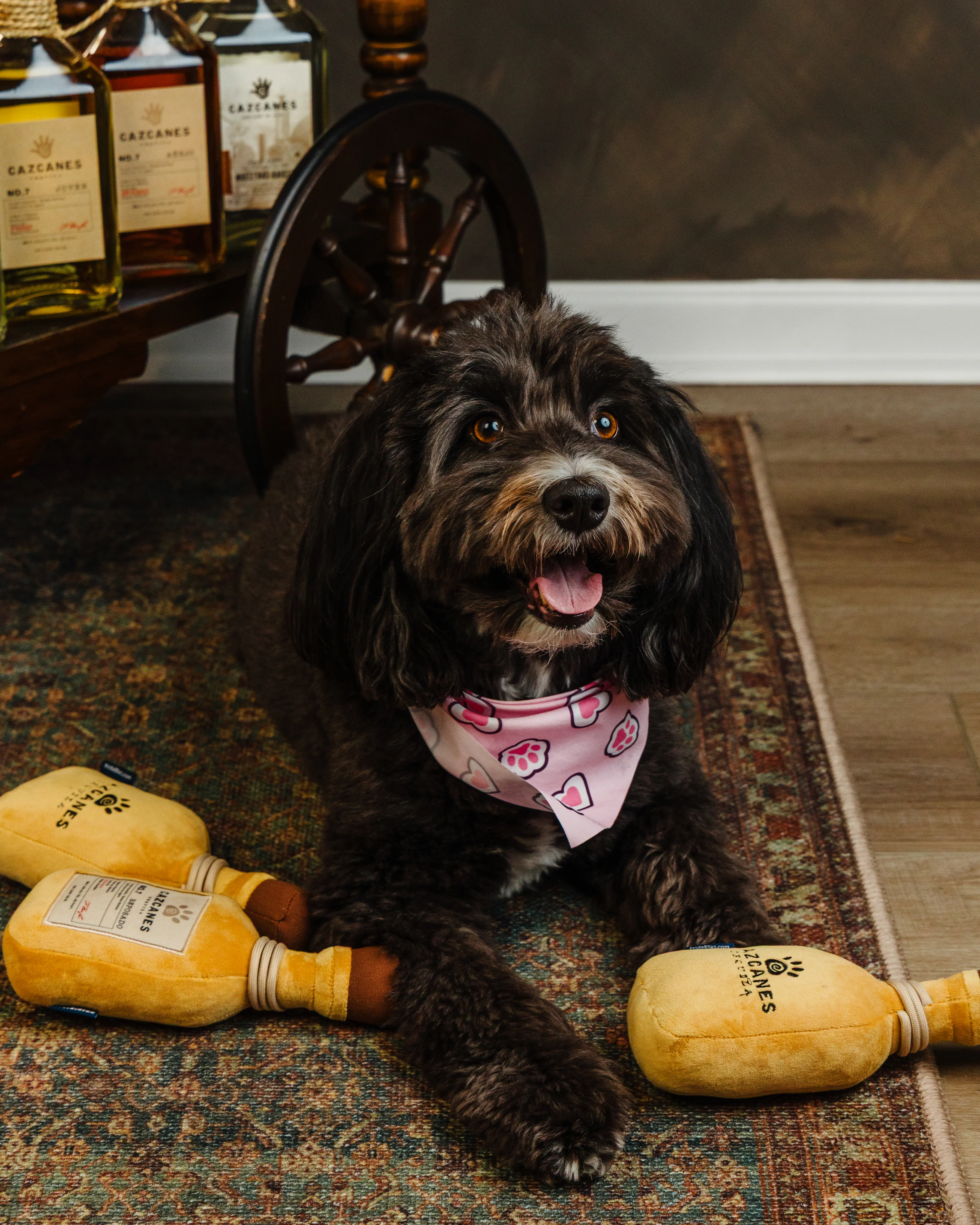 Cazcanes Dog Toy - Image 6